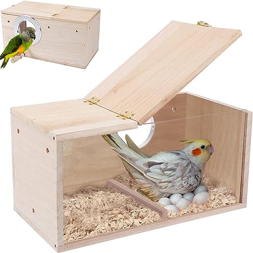 Bebochoi Caja De Cría De Pájaros Diseño Transparente Caja de Nido de Pájaros de Madera Nido cría para Aves Natural Ventana de Visión Clara de Loro para Agapornis, Loros de Cacatúas, 34 x 17 x 19 cm von Bebochoi
