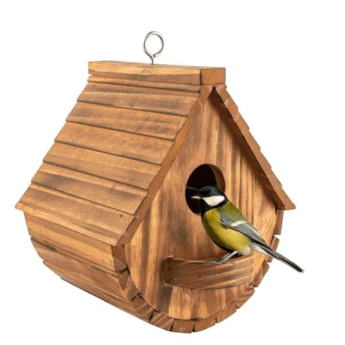 Bebochoi Nistkasten für Wildvögel, Gartenvögel mit sicherem Schutz gegen Nesträuber, Aufhängen Kiefernholz Vogelhaus für Gartenvögel, wetterfest ideal für Jede Gartengröße im Freien Baum oder Balkon Bebochoi Nistkasten für Wildvögel, Gartenvögel mit sicherem Schutz gegen Nesträuber, Aufhängen Kiefernholz Vogelhaus für Gartenvögel, wetterfest ideal für Jede Gartengröße im Freien Baum oder Balkon von Bebochoi