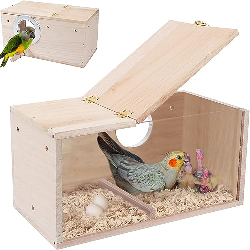 Bebochoi Sittich Nistkasten Vogelhaus Wellensittich Transparentes Design Vogelhäuschen aus Naturholz Kleines Vogelnest mit Stehstange für Kleine Vögel Wie Finken Wellensittiche, 25 x 13 x 13 cm von Bebochoi