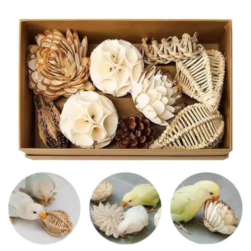 Bec&Ongle Natürliches Schredderspielzeug für Papageien | Stimulierende Box mit Palmfasern, Holz & Seil | Anti-Stress und Anti-Langeweile für neugierige Vögel (Sittiche, Kakadus, Aras, Wellensittiche) Bec&Ongle Natürliches Schredderspielzeug für Papageien | Stimulierende Box mit Palmfasern, Holz & Seil | Anti-Stress und Anti-Langeweile für neugierige Vögel (Sittiche, Kakadus, Aras, Wellensittiche) von Bec&Ongle