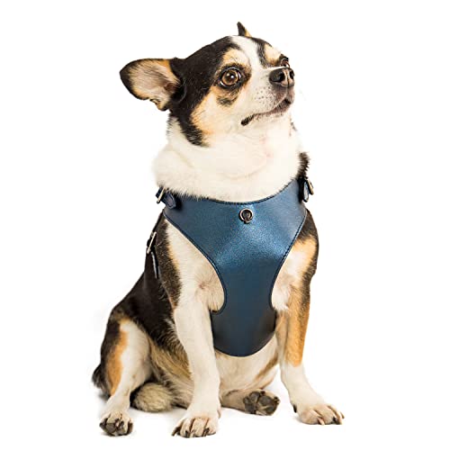 BECHIVA Verstellbares Leder Hundegeschirr für kleine Hunderassen – Chihuahua, Yorkshire Terrier, Malteser, Zwergspitz. Hundegeschirr Luxus Leicht zu entfernendes Hundegeschirr von Bechiva