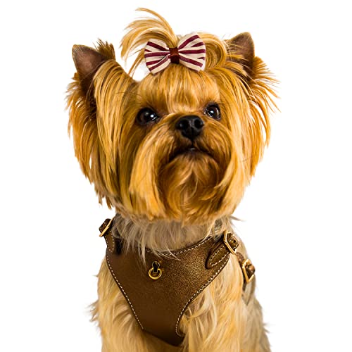 BECHIVA Verstellbares Leder Hundegeschirr für kleine Hunderassen – Chihuahua, Yorkshire Terrier, Malteser, Zwergspitz. Hundegeschirr Luxus Leicht zu entfernendes Hundegeschirr von Bechiva