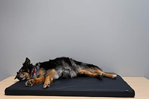 Beckers Beste Hundematte Kunstleder (100cm x 55cm x 5cm, blau) von Beckers Beste Tiernahrung