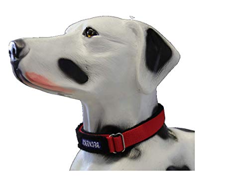 Beckers Beste Tiernahrung - Hundehalsband Nylon für große und kleine Hunde - Halsband in 40-60 cm Olivgrün gepolstert - Klickverschluss von Beckers Beste Tiernahrung