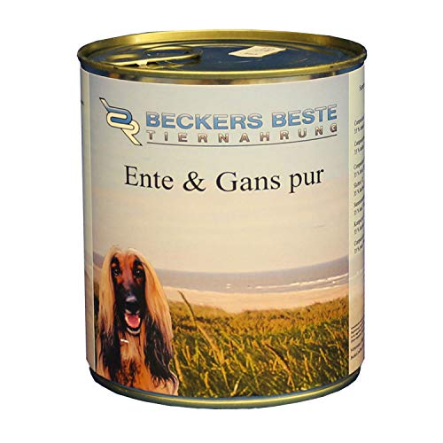 Beckers Beste Tiernahrung - getreidefrei Hundefutter Ente + Gans pur 12x 800 g - Nassfutter für Hunde - Dosenfutter Allergie – Barf verzehrfertig- für große & kleine Hunde Beckers Beste Tiernahrung - getreidefrei Hundefutter Ente + Gans pur 12x 800 g - Nassfutter für Hunde - Dosenfutter Allergie – Barf verzehrfertig- für große & kleine Hunde von Beckers Beste Tiernahrung