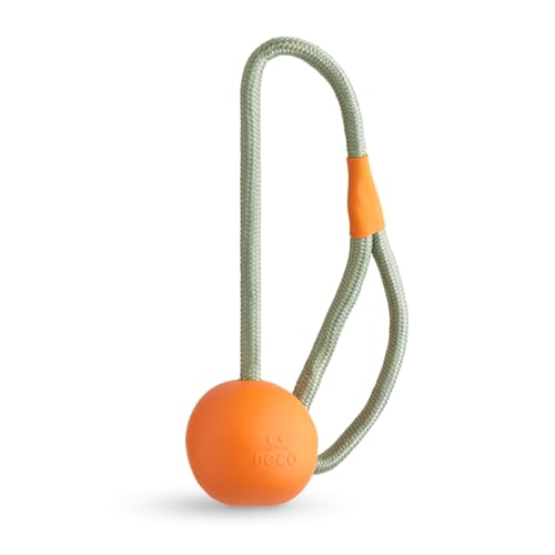 Beco Hundespielzeug - Naturkautschuk Ball am Seil Spielzeug für Hunde - Orange von Beco
