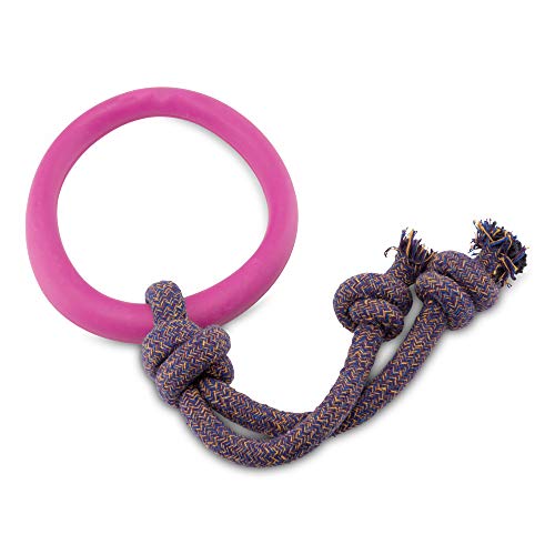 Beco Pet RHRL-001 Hoop on a Rope Ring mit Seil, L, rosa von Beco