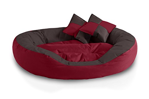 BedDog® 4in1 Hundebett SABA, Wende-Hunde-Kissen oval-rund, großes Hundekörbchen, abwischbares Hundebett mit Rand, für drinnen, draußen, XL, Sultan, rot-braun von BedDog