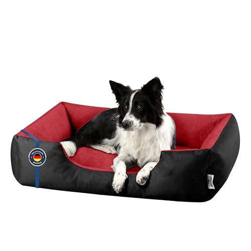 BedDog Hundebett L - Hundekissen - Hundekorb - Hundecouch - Hundesofa - Bezug abziehbar, Waschbar, für Mittel-Kleine Hunde von BedDog