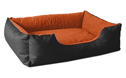 BedDog® Hundebett LUPI, Hundesofa aus Cordura, Microfaser-Velours, waschbares Hundebett mit Rand, Hundekissen Vier-eckig, für drinnen, draußen, L, ORANGE-Garden, schwarz-orange von BedDog