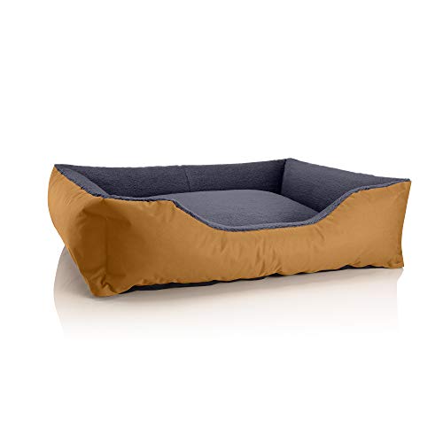 BedDog Hundebett Teddy flauschig, Hundekissen mit abziehbaren waschbaren Bezug, Hundekorb, Hundesofa, für mittel-große Hunde, XL, Gold-grau von BedDog