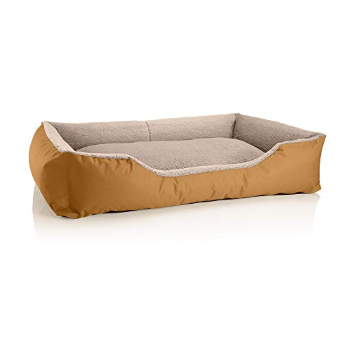 BedDog Hundebett Teddy, Hundesofa aus Cordura und Microfaser-Velours, waschbares Hundebett mit Rand, Hundekissen Vier-eckig, für drinnen, draußen, Größe XXL, Gold-beige von BedDog