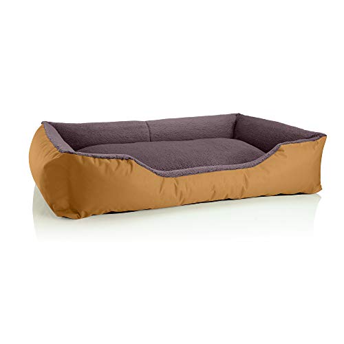 BedDog Hundebett Teddy, Hundesofa aus Cordura und Microfaser-Velours, waschbares Hundebett mit Rand, Hundekissen Vier-eckig, für drinnen, draußen, Größe XXXL, Gold-braun von BedDog