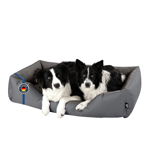 BedDog Hundebett Zara, Hundekissen mit abziehbaren waschbaren Bezug, Hundekorb, Hundesofa, für große Hunde, XXL von BedDog