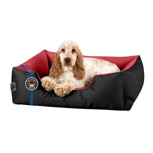 BedDog Hundebett M - Hundekissen - Hundekorb - Hundecouch - Hundesofa - Bezug abziehbar, Waschbar, für Kleine Hunde BedDog Hundebett M - Hundekissen - Hundekorb - Hundecouch - Hundesofa - Bezug abziehbar, Waschbar, für Kleine Hunde von BedDog