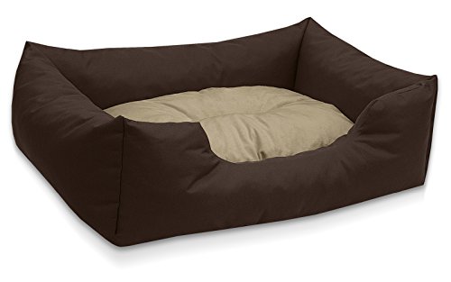 BedDog Hundebett Mimi, Hundesofa aus Cordura, Microfaser-Velours, waschbares Hundebett Vier-eckig mit Rand, Hundekissen für drinnen, draußen, XL, braun-beige BedDog Hundebett Mimi, Hundesofa aus Cordura, Microfaser-Velours, waschbares Hundebett Vier-eckig mit Rand, Hundekissen für drinnen, draußen, XL, braun-beige von BedDog