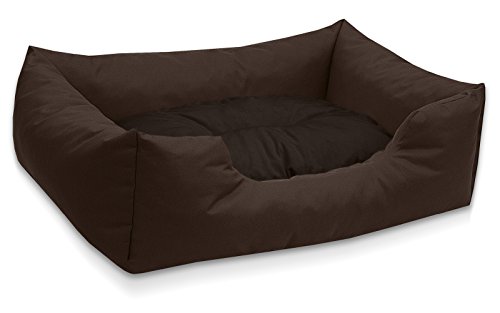 BedDog Hundebett Mimi, Hundesofa aus Cordura, Microfaser-Velours, waschbares Hundebett Vier-eckig mit Rand, Hundekissen für drinnen, draußen, XL, braun BedDog Hundebett Mimi, Hundesofa aus Cordura, Microfaser-Velours, waschbares Hundebett Vier-eckig mit Rand, Hundekissen für drinnen, draußen, XL, braun von BedDog