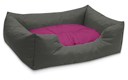 BedDog Hundebett Mimi, Hundesofa aus Cordura, Microfaser-Velours, waschbares Hundebett Vier-eckig mit Rand, Hundekissen für drinnen, draußen, XL, grau-pink BedDog Hundebett Mimi, Hundesofa aus Cordura, Microfaser-Velours, waschbares Hundebett Vier-eckig mit Rand, Hundekissen für drinnen, draußen, XL, grau-pink von BedDog