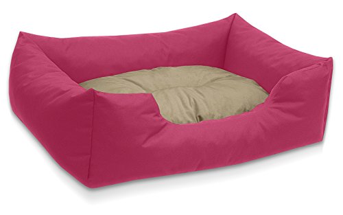 BedDog Hundebett Mimi, Hundesofa aus Cordura, Microfaser-Velours, waschbares Hundebett Vier-eckig mit Rand, Hundekissen für drinnen, draußen, XL, pink-beige BedDog Hundebett Mimi, Hundesofa aus Cordura, Microfaser-Velours, waschbares Hundebett Vier-eckig mit Rand, Hundekissen für drinnen, draußen, XL, pink-beige von BedDog