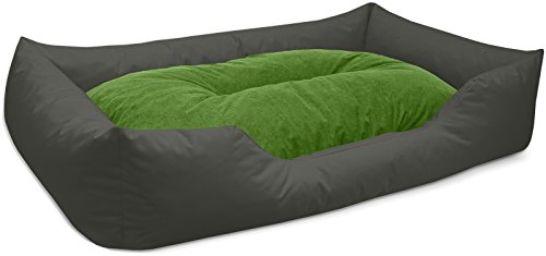 BedDog Hundebett Mimi, Hundesofa aus Cordura, Microfaser-Velours, waschbares Hundebett Vier-eckig mit Rand, Hundekissen für drinnen, draußen, XXXL, grau-grün BedDog Hundebett Mimi, Hundesofa aus Cordura, Microfaser-Velours, waschbares Hundebett Vier-eckig mit Rand, Hundekissen für drinnen, draußen, XXXL, grau-grün von BedDog