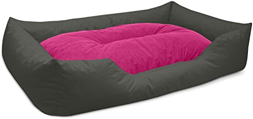 BedDog Hundebett Mimi, Hundesofa aus Cordura, Microfaser-Velours, waschbares Hundebett Vier-eckig mit Rand, Hundekissen für drinnen, draußen, XXXL, grau-pink BedDog Hundebett Mimi, Hundesofa aus Cordura, Microfaser-Velours, waschbares Hundebett Vier-eckig mit Rand, Hundekissen für drinnen, draußen, XXXL, grau-pink von BedDog