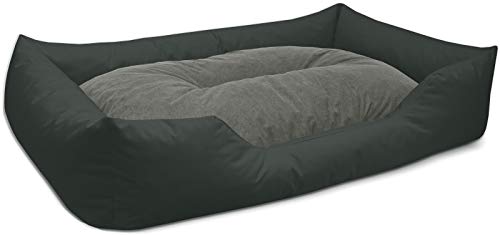 BedDog Hundebett Mimi, Hundesofa aus Cordura, Microfaser-Velours, waschbares Hundebett Vier-eckig mit Rand, Hundekissen für drinnen, draußen, XXXL, grau BedDog Hundebett Mimi, Hundesofa aus Cordura, Microfaser-Velours, waschbares Hundebett Vier-eckig mit Rand, Hundekissen für drinnen, draußen, XXXL, grau von BedDog