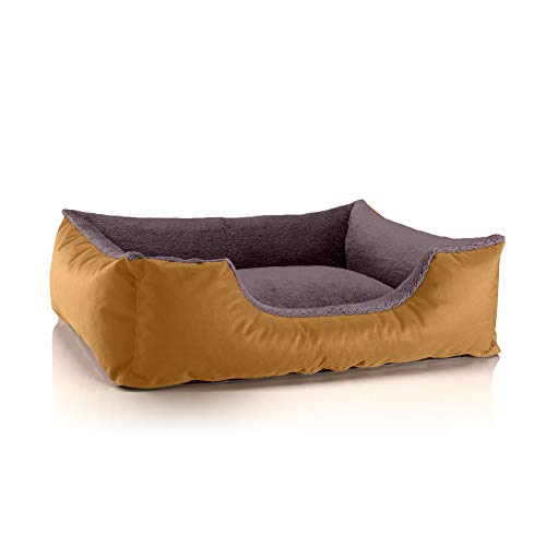 BedDog Hundebett Teddy, Hundesofa aus Cordura und Microfaser-Velours, waschbares Hundebett mit Rand, Hundekissen Vier-eckig, für drinnen, draußen, Größe L, Gold-braun BedDog Hundebett Teddy, Hundesofa aus Cordura und Microfaser-Velours, waschbares Hundebett mit Rand, Hundekissen Vier-eckig, für drinnen, draußen, Größe L, Gold-braun von BedDog