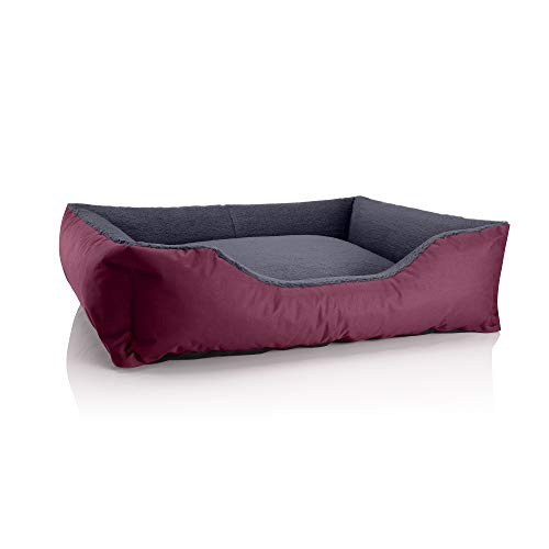BedDog Hundebett Teddy, Hundesofa aus Cordura und Microfaser-Velours, waschbares Hundebett mit Rand, Hundekissen Vier-eckig, für drinnen, draußen, Größe XL, Bordeaux-grau BedDog Hundebett Teddy, Hundesofa aus Cordura und Microfaser-Velours, waschbares Hundebett mit Rand, Hundekissen Vier-eckig, für drinnen, draußen, Größe XL, Bordeaux-grau von BedDog