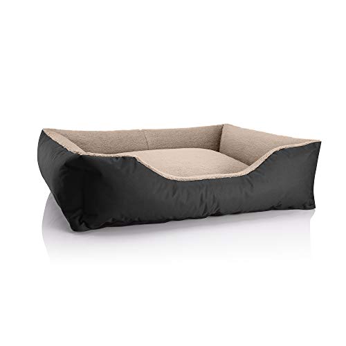 BedDog Hundebett Teddy, Hundesofa aus Cordura und Microfaser-Velours, waschbares Hundebett mit Rand, Hundekissen Vier-eckig, für drinnen, draußen, Größe XL, schwarz-beige BedDog Hundebett Teddy, Hundesofa aus Cordura und Microfaser-Velours, waschbares Hundebett mit Rand, Hundekissen Vier-eckig, für drinnen, draußen, Größe XL, schwarz-beige von BedDog