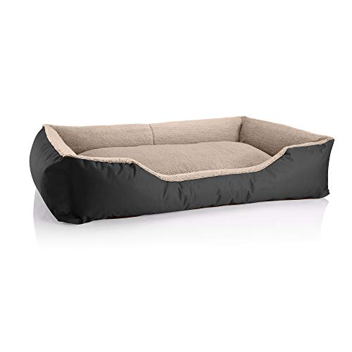 BedDog Hundebett Teddy, Hundesofa aus Cordura und Microfaser-Velours, waschbares Hundebett mit Rand, Hundekissen Vier-eckig, für drinnen, draußen, Größe XXL, schwarz-beige BedDog Hundebett Teddy, Hundesofa aus Cordura und Microfaser-Velours, waschbares Hundebett mit Rand, Hundekissen Vier-eckig, für drinnen, draußen, Größe XXL, schwarz-beige von BedDog