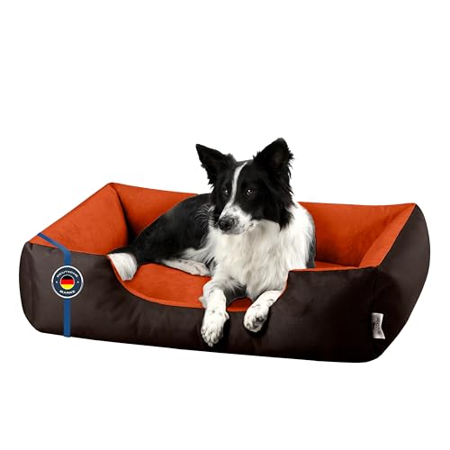 BedDog Hundebett XL - Hundekissen - Hundekorb - Hundecouch - Hundesofa - Bezug abziehbar, Waschbar, für Mittel-Große Hunde BedDog Hundebett XL - Hundekissen - Hundekorb - Hundecouch - Hundesofa - Bezug abziehbar, Waschbar, für Mittel-Große Hunde von BedDog