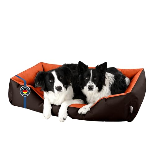 BedDog Hundebett XXXL - Hundekissen - Hundekorb - Hundecouch - Hundesofa - Bezug abziehbar, Waschbar, für Große Hunde BedDog Hundebett XXXL - Hundekissen - Hundekorb - Hundecouch - Hundesofa - Bezug abziehbar, Waschbar, für Große Hunde von BedDog