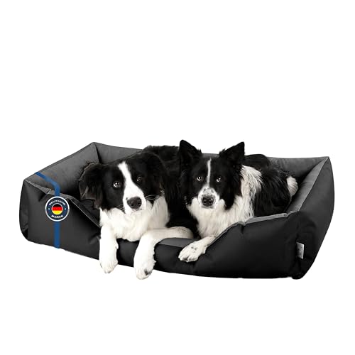 BedDog Hundebett XXXL - Hundekissen - Hundekorb - Hundecouch - Hundesofa - Bezug abziehbar, Waschbar, für Große Hunde BedDog Hundebett XXXL - Hundekissen - Hundekorb - Hundecouch - Hundesofa - Bezug abziehbar, Waschbar, für Große Hunde von BedDog