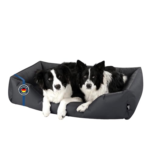 BedDog Hundebett Zara, Hundekissen mit abziehbaren waschbaren Bezug, Hundekorb, Hundesofa, für große Hunde, XXL von BedDog