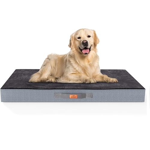 BedDog Orthopädische Hundematte, Sommer, Winter Seite, Belüftung, rutschfest, Antiallergisch, Antibakteriell, Wasserabweisend, Grau BedDog Orthopädische Hundematte, Sommer, Winter Seite, Belüftung, rutschfest, Antiallergisch, Antibakteriell, Wasserabweisend, Grau von BedDog