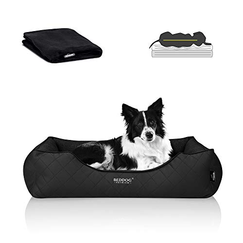 BedDog Premium Orthopädisches Hundebett WUFFI, Hundesofa aus Kunstleder, Abnehmbarer Bezug, Kuschel-Decke Zugabe - Black (schwarz) von BedDog