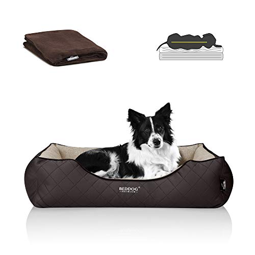 BedDog Premium Orthopädisches Hundebett WUFFI, Hundesofa aus Kunstleder, Abnehmbarer Bezug, Kuschel-Decke Zugabe - Melange (beige/braun) von BedDog