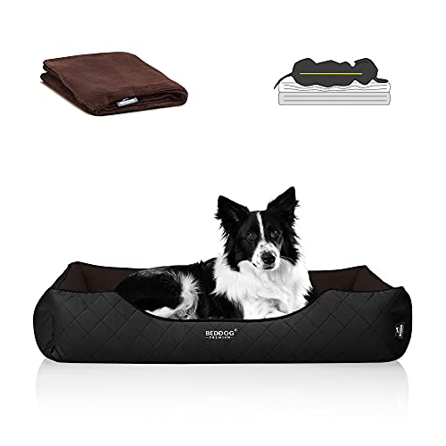 BedDog Premium Orthopädisches Hundebett WUFFI, Hundesofa aus Kunstleder, Abnehmbarer Bezug, Kuschel-Decke Zugabe - Mocca (braun/schwarz) von BedDog