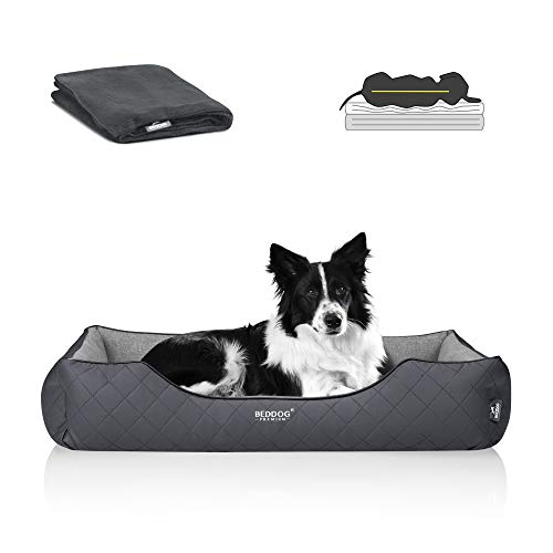 BedDog Premium Orthopädisches Hundebett WUFFI, Hundesofa aus Kunstleder, Abnehmbarer Bezug, Kuschel-Decke Zugabe - Rock-Flow (grau/grau) von BedDog