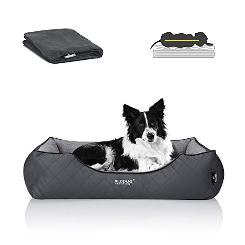 BedDog Premium Orthopädisches Hundebett WUFFI, Hundesofa aus Kunstleder, Abnehmbarer Bezug, Kuschel-Decke Zugabe - Rock-Flow (grau/grau) von BedDog
