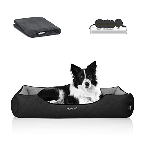 BedDog Premium Orthopädisches Hundebett WUFFI, Hundesofa aus Kunstleder, Abnehmbarer Bezug, Kuschel-Decke Zugabe - The-Rock (schwarz/grau) von BedDog
