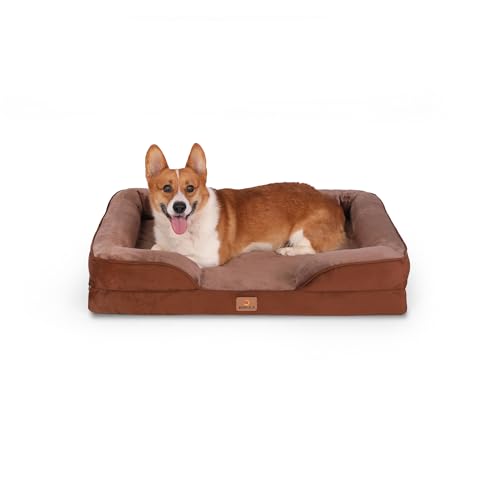 BedGoldi Orthopädisches Hundebett für große Hunde, Ergonomisches Hundesofa mit eiförmigem Kistenschaum, Wasserdichtes rutschfestes Hundesofa 89x63 cm, hellgrau BedGoldi Orthopädisches Hundebett für große Hunde, Ergonomisches Hundesofa mit eiförmigem Kistenschaum, Wasserdichtes rutschfestes Hundesofa 89x63 cm, hellgrau von BedGoldi
