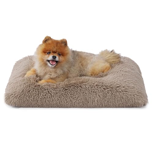 Bedsure Flauschiges Hundebett Grosse Hunde - 61x45x8 cm Hundebett waschbar für große Hunde, rutschfeste Unterseite, plüsch Hundekissen Grosse Hunde, Kamel von Bedsure