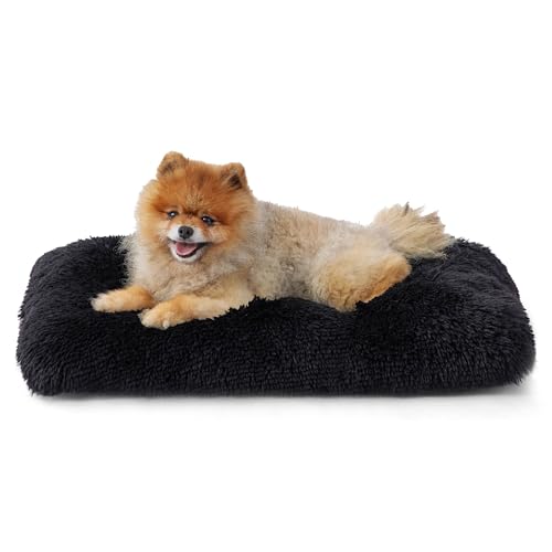 Bedsure Flauschiges Hundebett Grosse Hunde - 61x45x8 cm Hundebett waschbar für große Hunde, rutschfeste Unterseite, plüsch Hundekissen Grosse Hunde, Schwarz von Bedsure