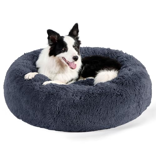 BEDSURE Hundebett waschbar Flauschiges Hundebett - Ø 91 cm Donut Hundebett für große Hunde, plüsch Hundebett rund Kuschelbett, dunkelgrau BEDSURE Hundebett waschbar Flauschiges Hundebett - Ø 91 cm Donut Hundebett für große Hunde, plüsch Hundebett rund Kuschelbett, dunkelgrau von BEDSURE