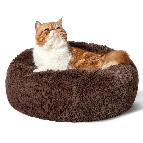 BEDSURE Hundebett waschbar Flauschiges Hundebett - Ø 50 cm Donut Hundebett für große Hunde, plüsch Hundebett rund Kuschelbett, Braun BEDSURE Hundebett waschbar Flauschiges Hundebett - Ø 50 cm Donut Hundebett für große Hunde, plüsch Hundebett rund Kuschelbett, Braun von BEDSURE