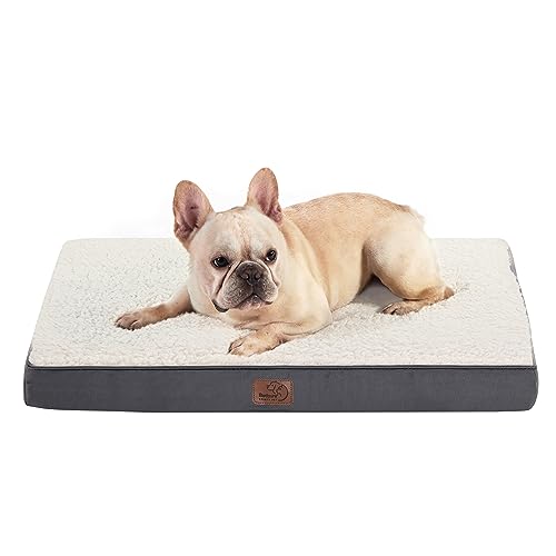 BEDSURE orthopädisches Hundebett kleine Hunde - 76x51x7.6cm Hundekissen flauschig Hundematte waschbar Hundematratze in grau für kleine Hunde BEDSURE orthopädisches Hundebett kleine Hunde - 76x51x7.6cm Hundekissen flauschig Hundematte waschbar Hundematratze in grau für kleine Hunde von BEDSURE