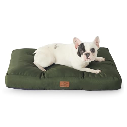 BEDSURE Hundekissen kleine Hunde waschbar - 76x50cm hundematratze wasserdicht M für kleine, mittelgroße Hunde Outdoor gepolstert Hundematte grün in 10cm Höhe BEDSURE Hundekissen kleine Hunde waschbar - 76x50cm hundematratze wasserdicht M für kleine, mittelgroße Hunde Outdoor gepolstert Hundematte grün in 10cm Höhe von BEDSURE