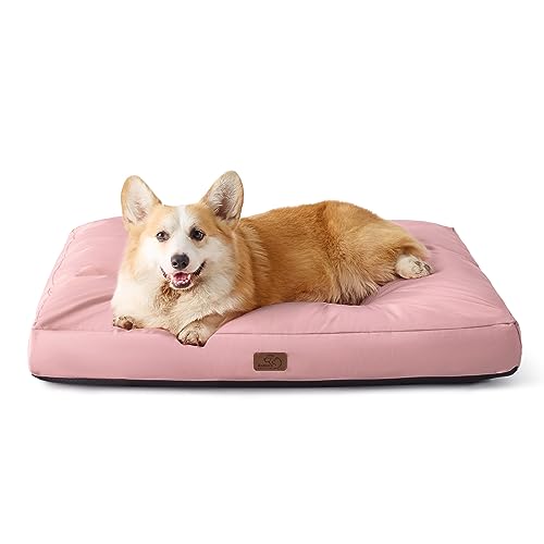 BEDSURE Hundekissen kleine Hunde waschbar - 76x50cm Hundebett wasserdicht M für kleine, mittelgroße Hunde gepolstert Hundematte Rosa in 10cm Höhe BEDSURE Hundekissen kleine Hunde waschbar - 76x50cm Hundebett wasserdicht M für kleine, mittelgroße Hunde gepolstert Hundematte Rosa in 10cm Höhe von BEDSURE