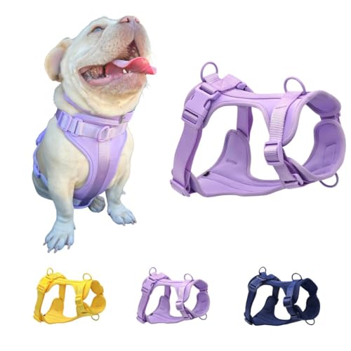 Hundegeschirr, kein Ziehen, mit 3 Leinenclips, verstellbar, weich gepolstert, atmungsaktives Netzkissen für kleine, mittelgroße und große Hunde, Violett, Größe S (Halsumfang: 30,5 - 40,6 cm, Hundegeschirr, kein Ziehen, mit 3 Leinenclips, verstellbar, weich gepolstert, atmungsaktives Netzkissen für kleine, mittelgroße und große Hunde, Violett, Größe S (Halsumfang: 30,5 - 40,6 cm, von Bee N Buu